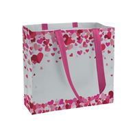 SHOPPER IN TNT LAMINATO CON STAMPA A TEMA